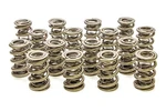 Racing Springs 1.645 Triple Valve (16) PAC-1348-16. Fixed Price $571.79.