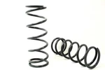 New Set Of 2 Terrafirma Front Coil Springs - Medium Load TF018. Fixed Price $228.91.