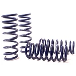 H&r 50470-2 Lowering Springs Kit For 2011-16 Bmw 550I F10 / 13-19 640I 650I F06. Fixed Price $312.91.
