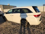 Left Rear Coil/air Spring Oem 11-17 Honda Odyssey 1YR Wrnty 52446TK8A03. Fixed Price $125.00.
