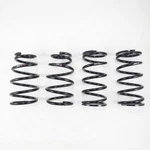 Rs-r T298D Down Sus Springs For 2016+ Lexus RX350 Awd. Fixed Price $299.75.