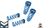 Megan Racing MR-LS-LI01 Lowering Spring Set For 01-05 Lexus IS300. Fixed Price $169.90.