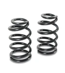 Detroit Speed 031133PDS Coil Springs. Fixed Price $319.28.