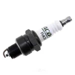 Spark Plug Acdelco R43FS. Fixed Price $24.15.