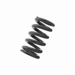 Tein SC060-01250 Standardized Spring Straight. Fixed Price $188.11.
