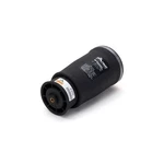 For Bmw 528I & 540I Arnott Rear Left Air Suspension Spring Tcp. Fixed Price $200.67.