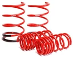 SKUNK2 Racing 519-05-1570 Lowering Coil Spring Set Fits 01-05 Civic. Fixed Price $256.25.