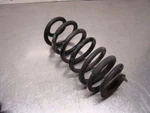 Ford Ecosport Titanium 2.0L Engine Rear Left Right Coil Spring 18 19 20 21 22. Fixed Price $35.00.