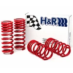 H&r 51650-88 Lowering Springs Kit For 79-04 Mustang V8 / 96-04 V6 93-98 Cobra. Fixed Price $349.20.