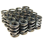 Blox Racing BXPT-10302 Set Of 16 Valve Springs For Honda B-series Dohc 1.8L. Fixed Price $202.23.