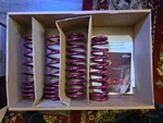 Vogtland Sport Lowering Springs For 1994-2001 Acura Integra 957007. Fixed Price $230.00.