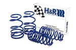 H&r Sport Spring Ford Mustang/convertible/gt/shelby Gt-h V6/V8 Sup. Fixed Price $318.29.