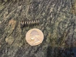 Military Stainless Helical Compression Spring 3/8 Od X 1 Inch Long 5820700. Fixed Price $30.00.