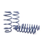 H&r Springs 54796. Fixed Price $295.33.