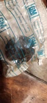 Nos 1963-1981 Chevrolet Corvette Rear Leaf Spring Cushion # 3831586 Marked Abf. Fixed Price $15.00.