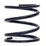 Hyperco Coils 184.25Q116 Over Spring. Fixed Price $40.00.