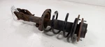Passenger Right Strut Front Sedan Fits 15-17 Subaru Legacy Oem. Fixed Price $52.66.
