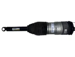 12-15 Tesla Model Rear Left Side Shock Strut Absorber Oem, 6006352-07-A. Fixed Price $155.24.