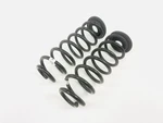 2015-2018 Audi A3 RS3 (8V) Rear Left & Right Suspension Coil Spring Set Of. Fixed Price $99.77.