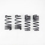 Rs-r T073D Down Suspension Springs For Various Vehicles. Fixed Price $309.00.