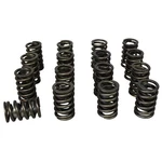 Howards Performance Single With Damper Valve Springs 1.265 98213. Fixed Price $152.36.