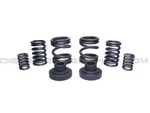 1994-1998 Fits Dodge Cummins Gsk Governor Spring Kit 3000-4000RPM Valve. Fixed Price $49.99.