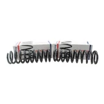 Lesjofors Front Coil Spring Set 4112186. Fixed Price $151.68.