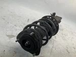 19-22 Subaru Forester 2.5L Front Left Strut Shock Absorber. Fixed Price $95.99.