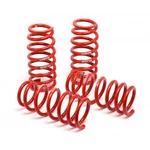 H And For Acura Tl 2004-2008 Race Spring 6 Cyl. Fixed Price $332.24.