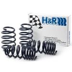 H&r 51626-2 Lowering Sport Front And Rear Springs Kit 2010-19 Ford Taurus V6. Fixed Price $313.91.