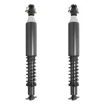 Unity Rear Air Suspension Shock Coil Spring Conversion Kit Set Of 2 For Buick. Fixed Price $149.95.