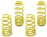 Neuspeed (by Eibach) *low* Race Lowering Springs Acura Tsx & 03-07 Honda Accord. Fixed Price $249.95.