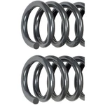 Dorman 929-954 Coil Spring 04-20 Ford F-150. Fixed Price $282.41.