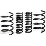 H&r 29392-3 Lowering Springs Kit For 03-09 Mercedes CLK500 CLK550 Amg W209. Fixed Price $249.22.
