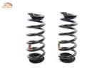 2020 2025 Lincoln Aviator Rwd Rear Left & Right Side Coil Spring Oem -set-. Fixed Price $54.99.