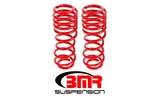 Bmr Suspension Struts / Shock Absorbers Coil Springs Camber Plate. Fixed Price $162.70.