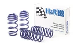 H&r 29001 Sport Springs For 2009 2017 Audi Q5 Awd 3.0 Tdi 8R. Fixed Price $292.95.