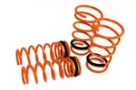 Megan Lowering Springs For Scion Tc 05-10 ANT10 F: 2" R:. Fixed Price $139.99.