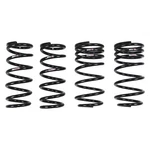 Rs T981TD TI2000 Down Springs For 2018-24 Lexus LC500 Rwd. Fixed Price $655.95.