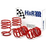 H&r 29484 Lowering Race Springs Kit Set For 1999-06 Bmw 328I 323I 325I 330I E46. Fixed Price $246.73.