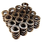 Blox Racing Valve Springs For 1997-2001 Honda Cr-v BXPT-10302. Fixed Price $208.00.