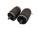 2017-2021 Land Rover Discovery (L462) Rear Air Suspension Spring SET-2. Fixed Price $104.49.