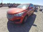 Air/coil Spring Rear Swb Sport Awd Fits 13-18 Santa Fe 12008458. Fixed Price $75.02.