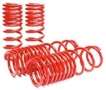 SKUNK2 Racing 519-05-1630 Lowering Coil Spring Set. Fixed Price $251.99.