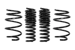 Eibach E10-23-018-03-22 Set Of 4 Performance Springs Chevy Camaro Ss Le. Fixed Price $395.00.