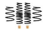 Eibach E10-46-043-01-22 Pro-kit Performance Spring Set Nissan 350Z. Fixed Price $395.00.