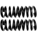 Frt Coil Springs Moog 81004. Fixed Price $519.35.