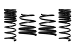 Eibach 7728.140 Coil Spring Lowering Kit. Fixed Price $395.00.