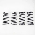 Rs-r Down Suspension Springs For Lexus RC350 Awd (GSC10) 2015+. Fixed Price $309.00.