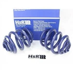 H&r 29429 Sport Lowering Springs For 94-03 Vw Eurovan T4. Fixed Price $314.95.